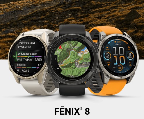 FĒNIX HA EVOLUCIONADO